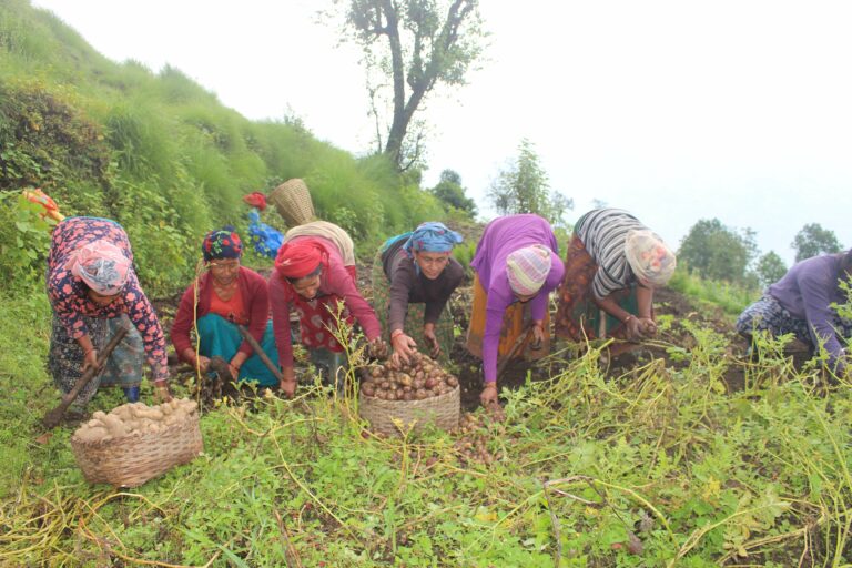 हराउन थाल्यो अर्मपर्म परम्परा